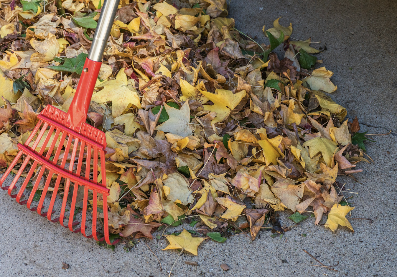 Screenshot 2025-04-30 at 12.13.23 PM